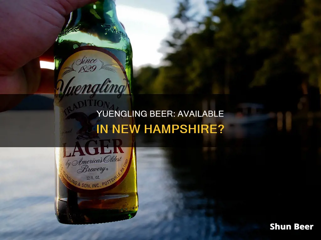 can you buy yuengling beer in new hampshire