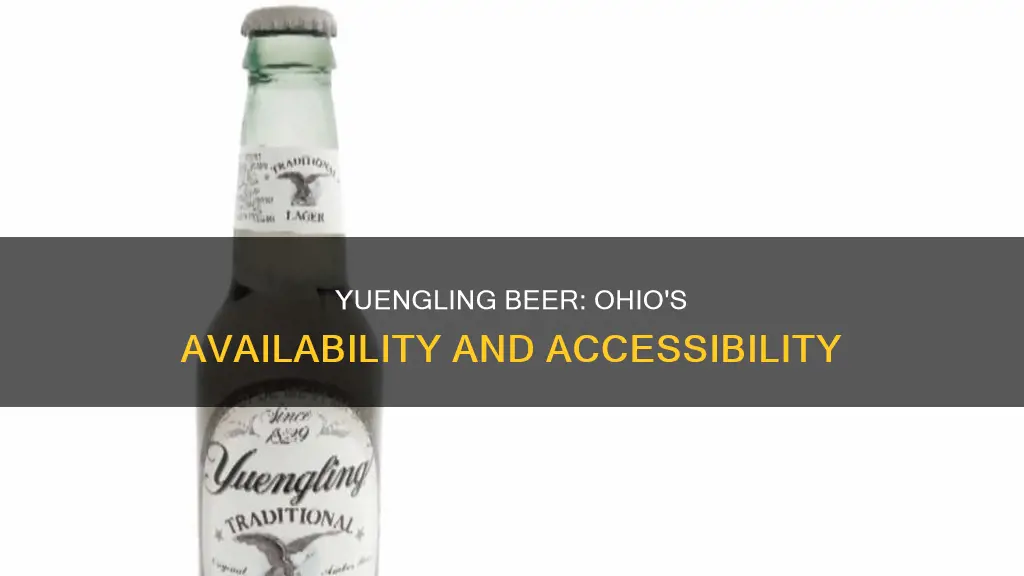 can you buy yuengling beer in ohio