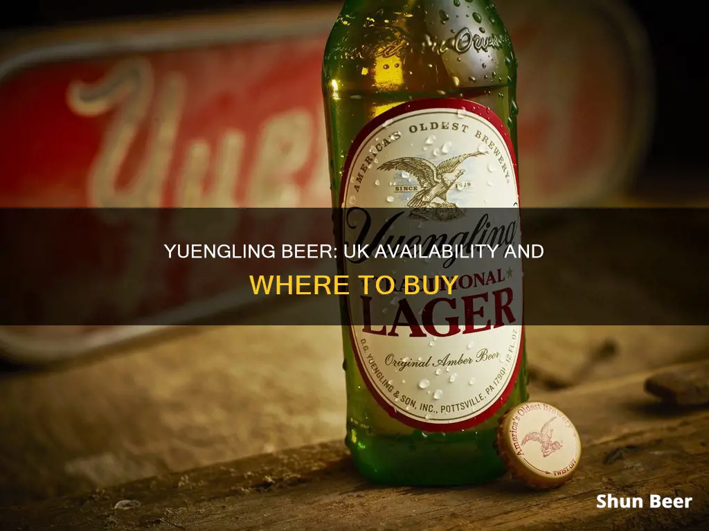 can you buy yuengling beer in the uk