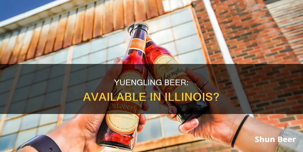 can you buy yuengling in illinois