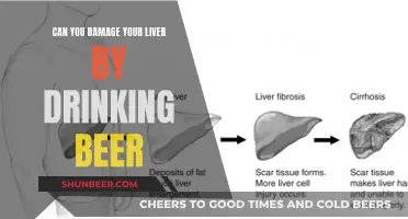 Beer Drinking: Liver Damage Risks and Realities