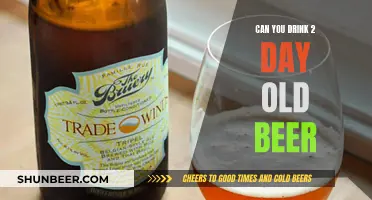 Is It Safe to Drink Beer That's Two Days Old?