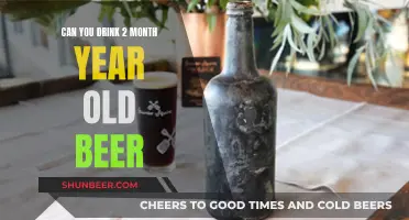 Old Beer: Is It Safe to Drink After Two Months?