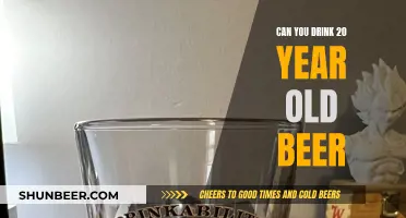 Old Beer: Is It Safe to Drink After 20 Years?