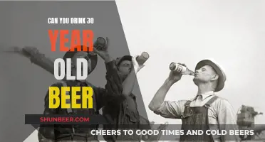 Old Beer: Is It Safe to Drink After 30 Years?