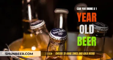 Old Beer: Is It Safe to Drink After a Year?