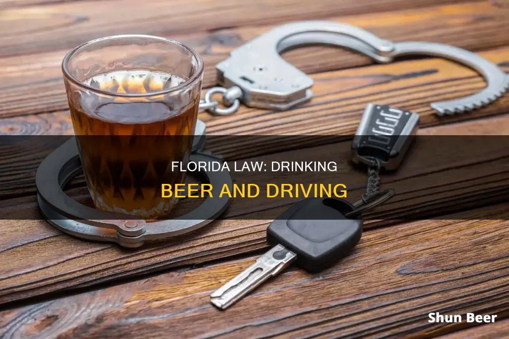 can you drink a beer and drive under florida law