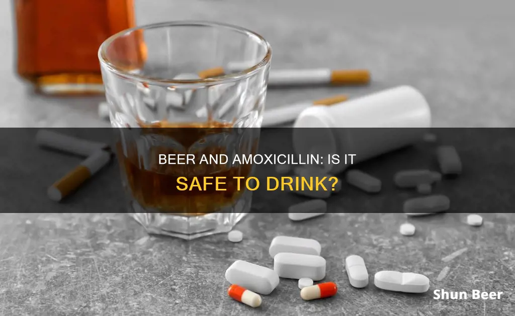 can you drink a beer on amoxicillin