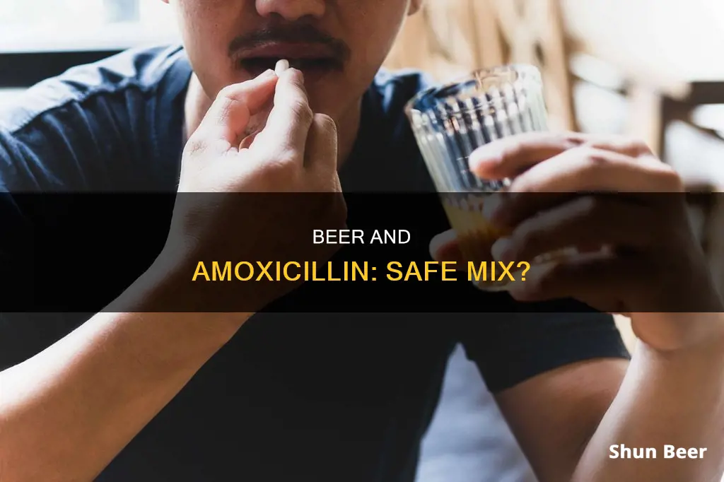 can you drink a beer while taking amoxicillin