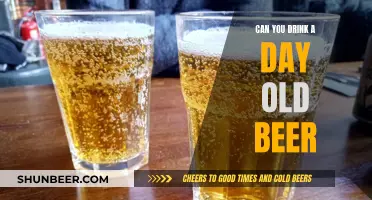 Is Day-Old Beer Safe to Drink?