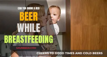 Breastfeeding and Alcohol: Is Red Beer Safe?