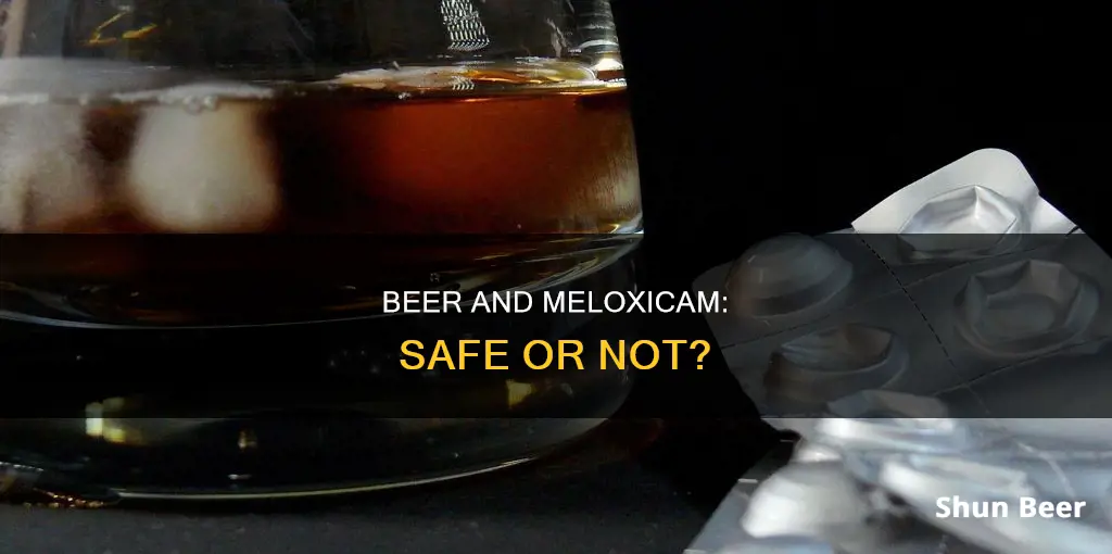 can you drink an occasional beer while taking meloxicam