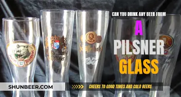 Pilsner Glasses: Best Beers to Enjoy in This Glassware