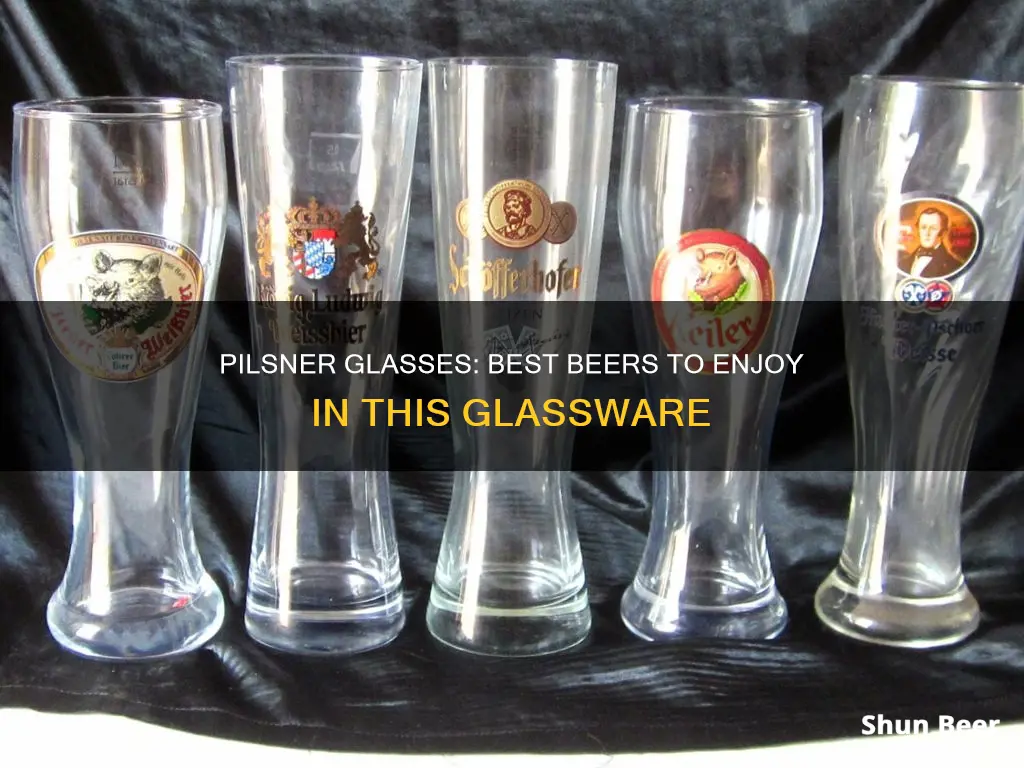 can you drink any beer from a pilsner glass