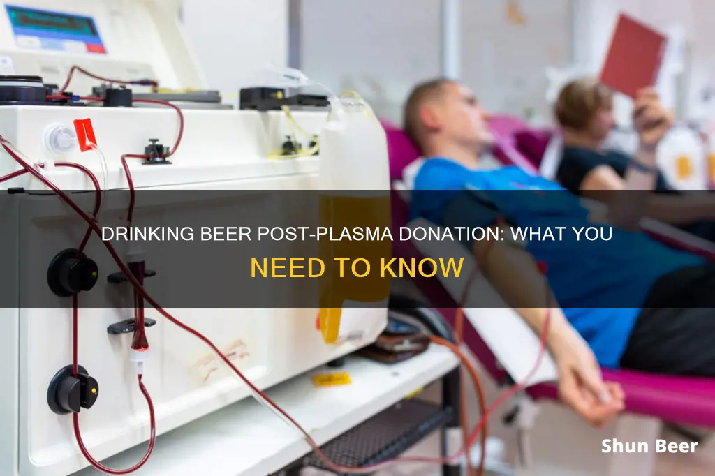 can you drink beer after donating plasma