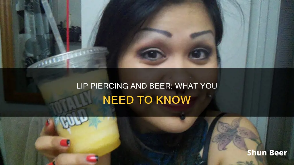 can you drink beer after getting a lip piercing