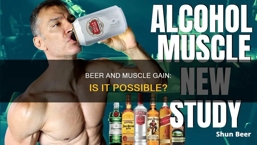 can you drink beer and still build muscle