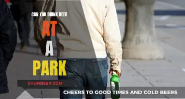 Drinking Beer at the Park: Is It Legal?