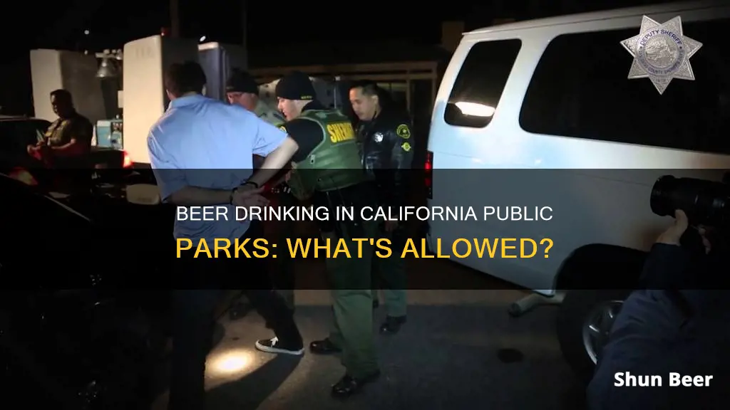 can you drink beer at a public park in California