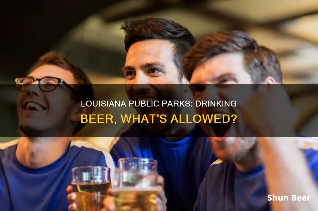 can you drink beer at a public park louisiana