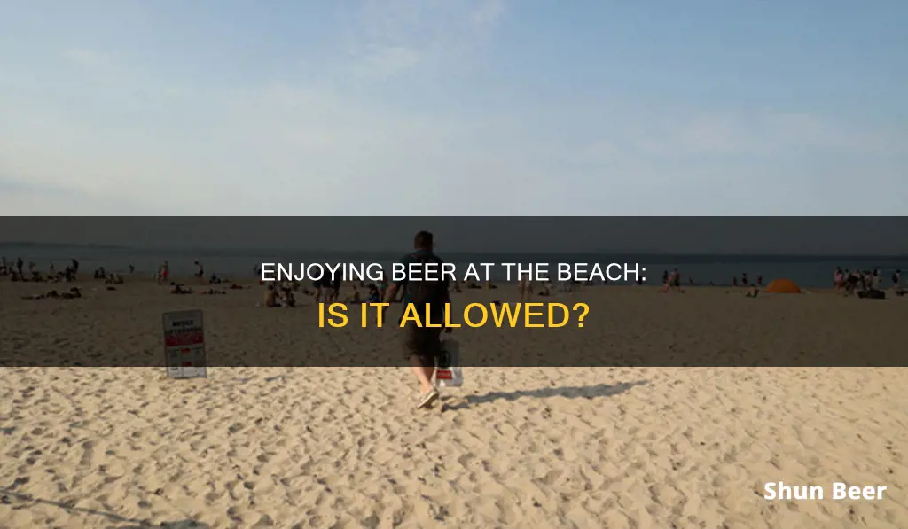 can you drink beer at beach