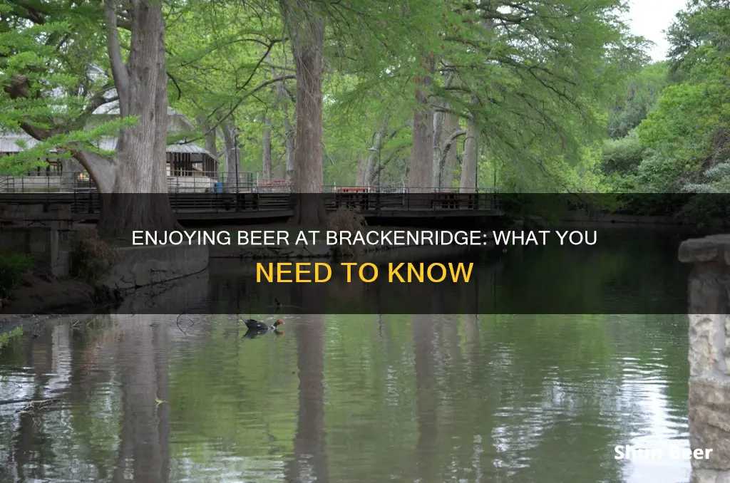 can you drink beer at brackenridge