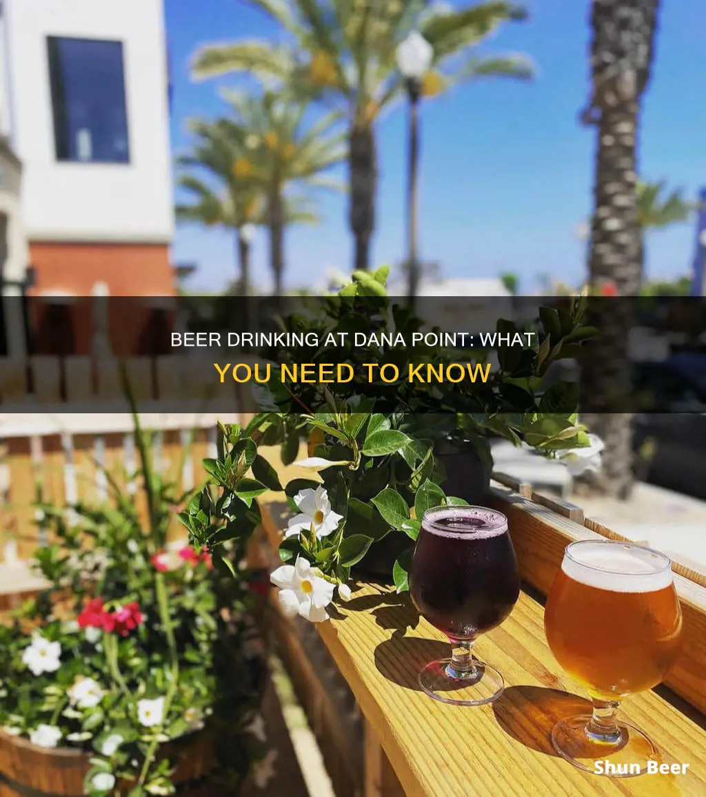 can you drink beer at dana point