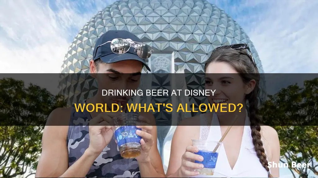 can you drink beer at disney world