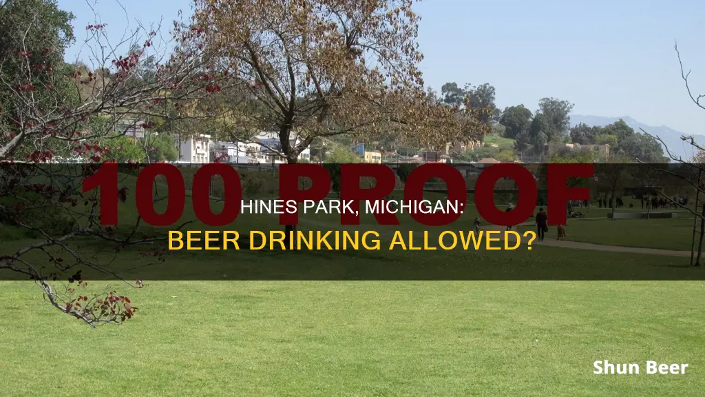 can you drink beer at hines park michigan