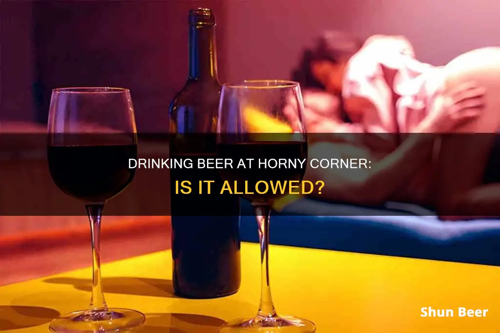 can you drink beer at horny corner