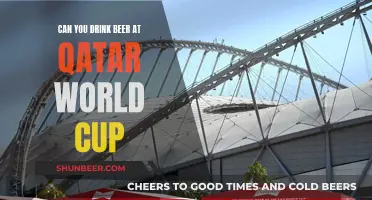 Drinking Beer at the Qatar World Cup: What's Allowed?