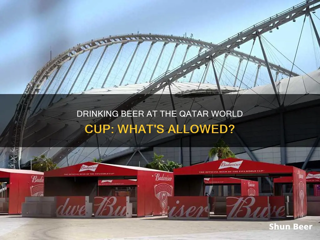 can you drink beer at qatar world cup