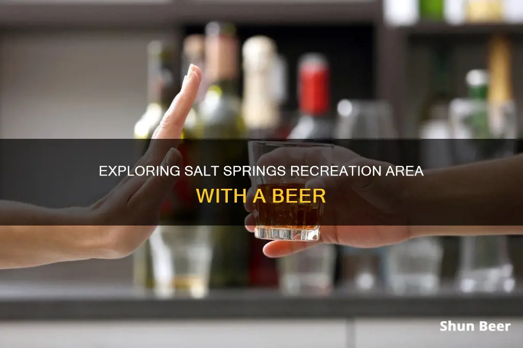 can you drink beer at salt springs recreation area