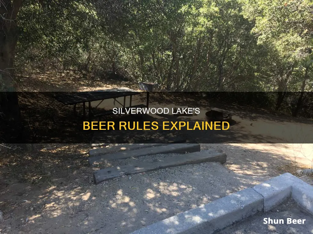 can you drink beer at silverwood lake