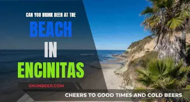 Drinking Beer at Encinitas Beach: What's Allowed?