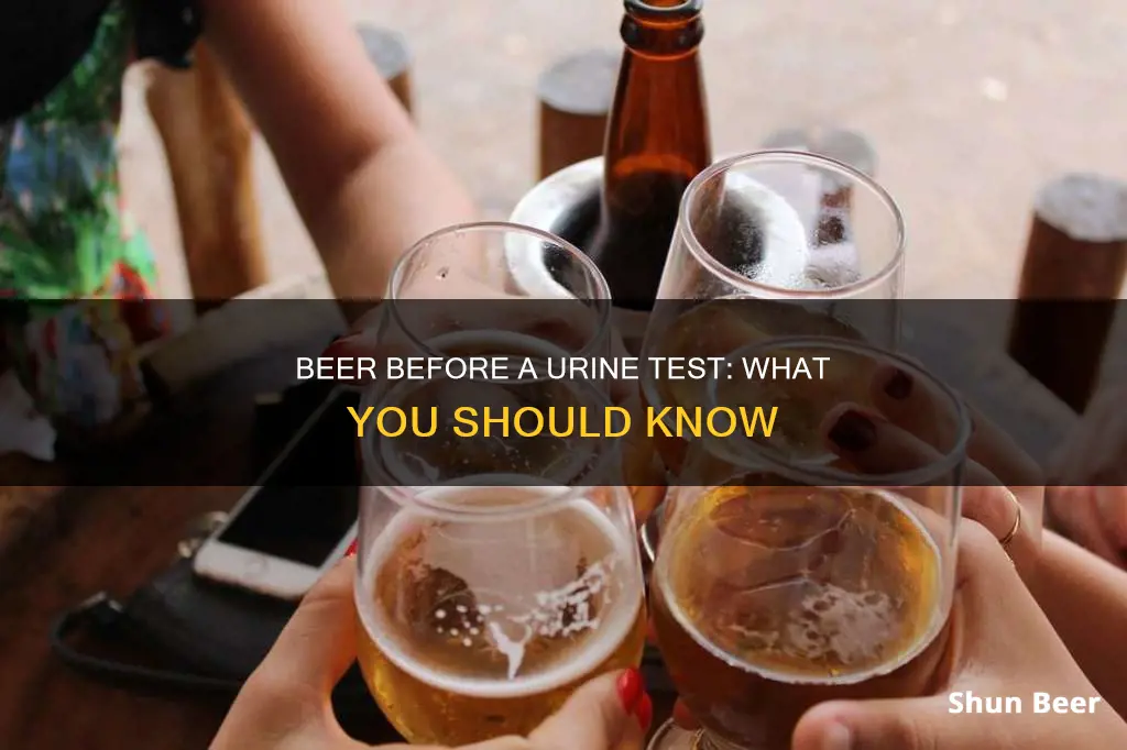 can you drink beer before a urine test