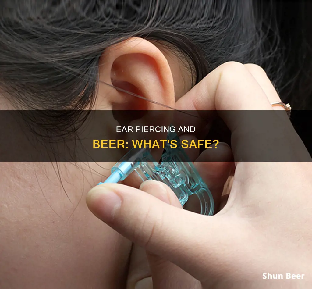 can you drink beer before ear piercing