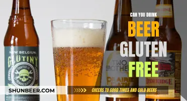 Gluten-Free Beer: Enjoy Drinking Without Worry