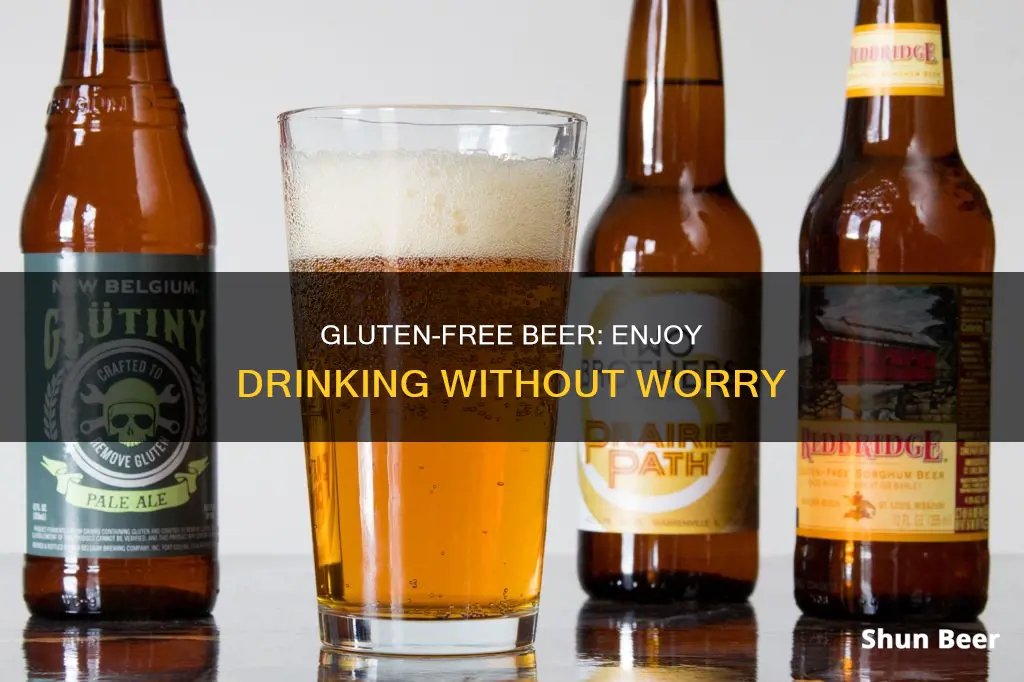 can you drink beer gluten free