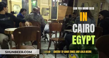 Exploring Cairo's Beer Scene: What to Know Before Drinking