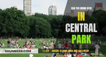 Beer Drinking in Central Park: What's Allowed?