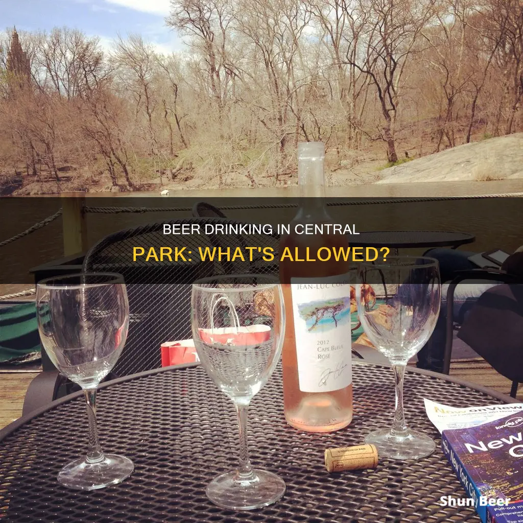 can you drink beer in central park