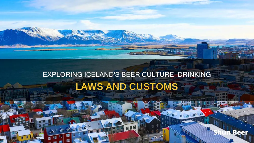 can you drink beer in iceland