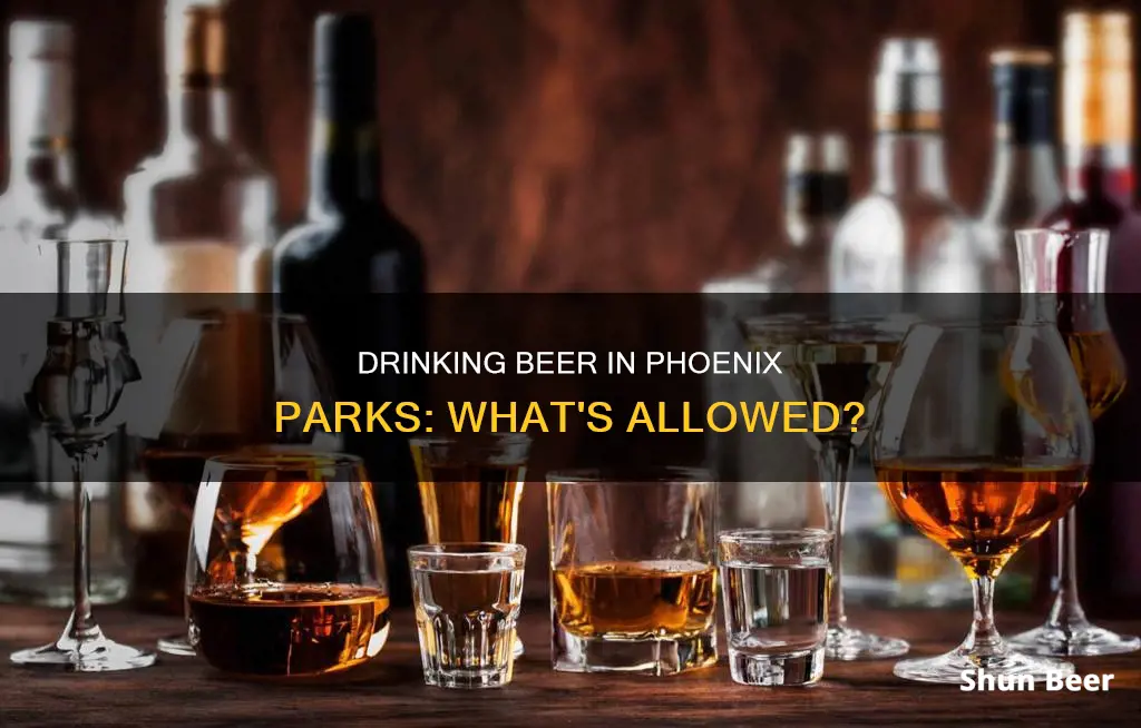 can you drink beer in phoenix parks