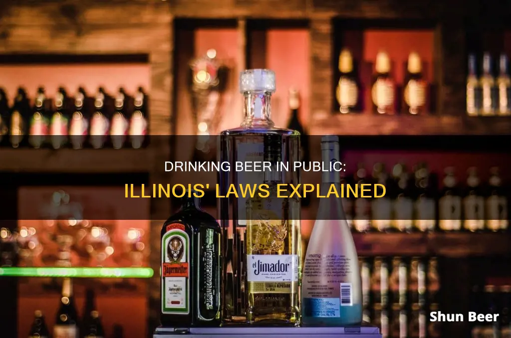 can you drink beer in public illinoice