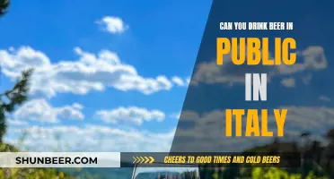 Drinking Beer in Public: Italian Laws and Culture