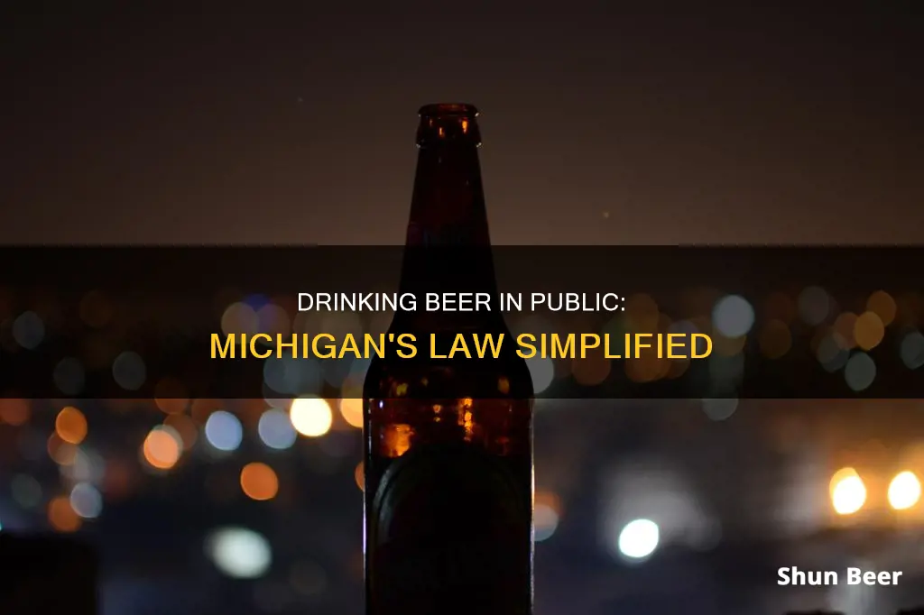 can you drink beer in public in Michigan