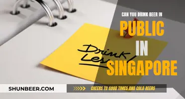 Drinking Beer in Public: Singapore's Laws and You