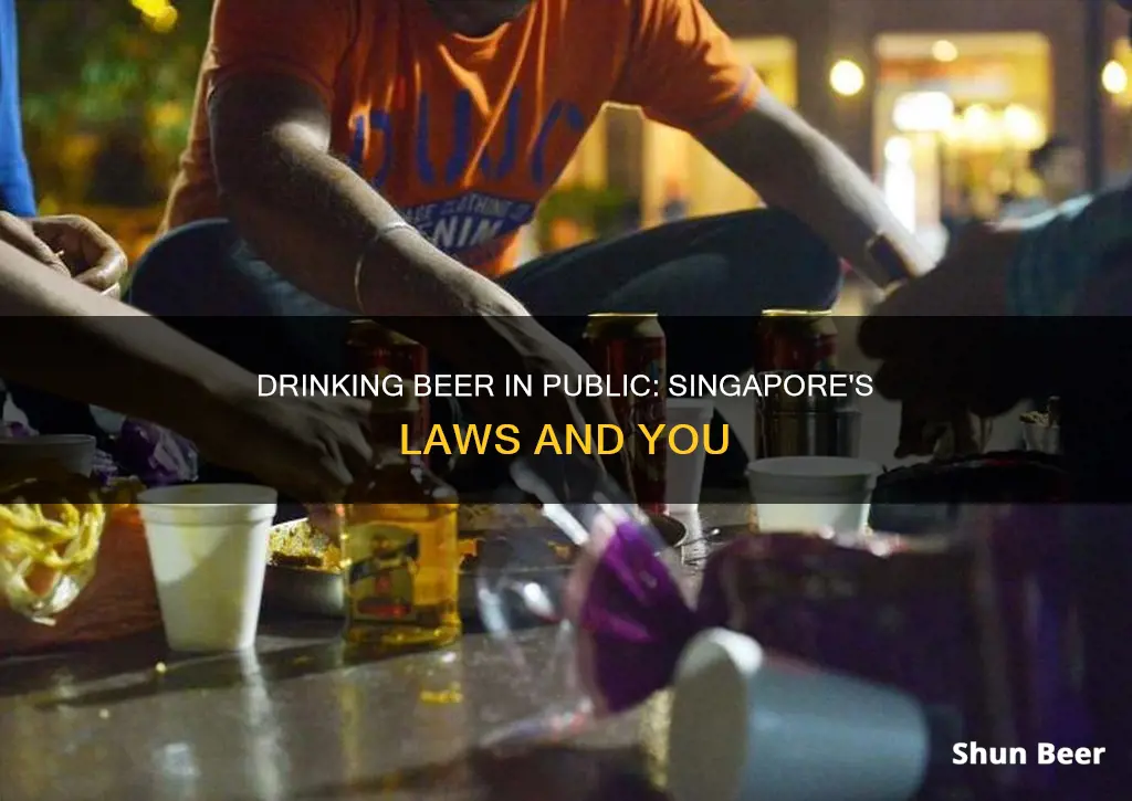 can you drink beer in public in singapore