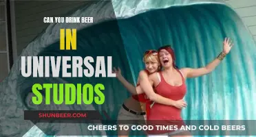 Beer Drinking in Universal Studios: What's Allowed?